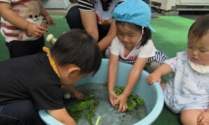 夏風邪？が増えています