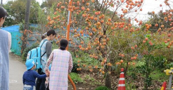 １１月５日のさくらんぼさん🍒