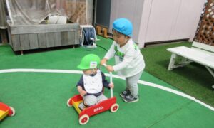 これは何だろう？？(４月１１日)
