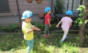小さい公園と園庭遊び♬