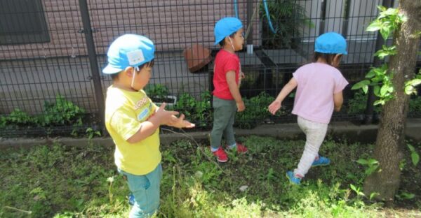 小さい公園と園庭遊び♬