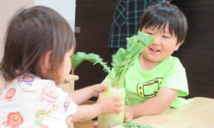 大きな大根！
