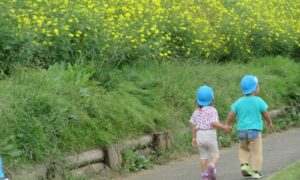 大きくなったかな?&コスモスの丘(10月7日)