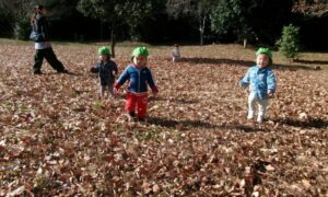 落ち葉がいっぱいだぁ~♡(12月23日)