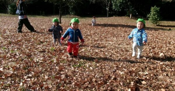 落ち葉がいっぱいだぁ～♡(１２月２３日)
