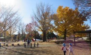 12月がスタートしました!(12月1日)