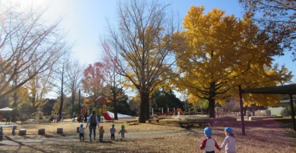 12月がスタートしました!(12月1日)