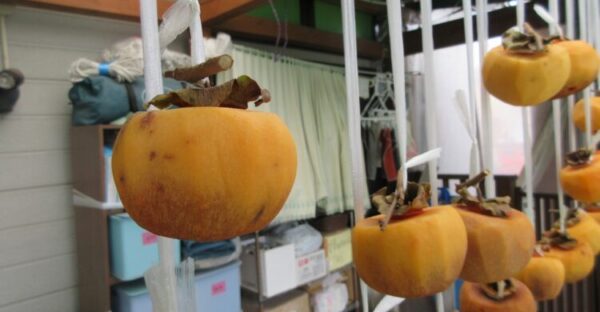 干し柿作りに挑戦しました!