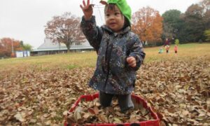 落ち葉がいっぱい(≧▽≦)(12月3日)