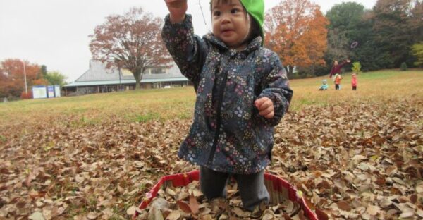 落ち葉がいっぱい(≧▽≦)(12月3日)