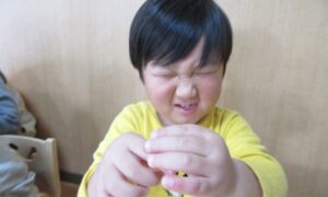 オクラの中身は、どうなってるの？