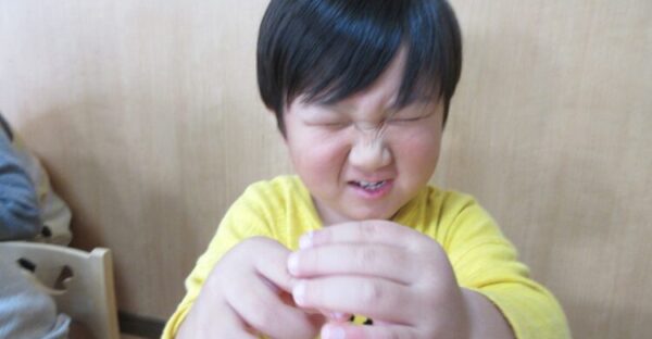 オクラの中身は、どうなってるの？