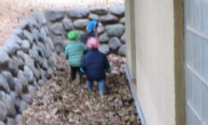 さくらんぼ探検隊🍒(２月１２日)