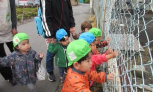 どこ行くの？？