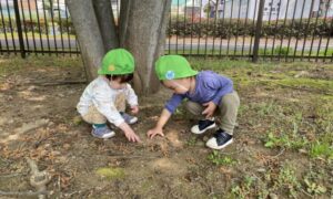 見てみてー!ここにね…