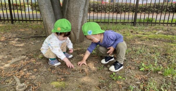 見てみてー!ここにね…
