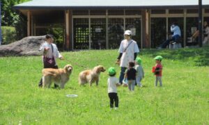 汗をかきましょう！