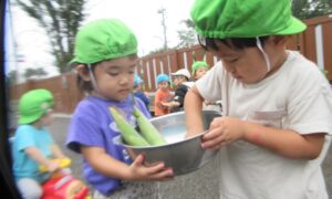 ８月がスタート！(８月３日)