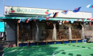 運動会ごっこ開催しました!(10月9日)